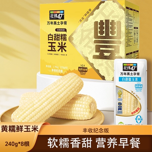 北纬47度黄糯鲜玉米 丰收纪念版白糯玉米黑珍珠玉米软糯东北玉米