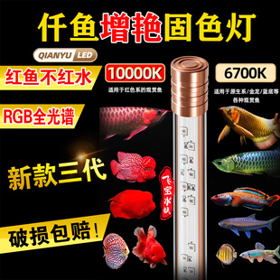仟鱼鱼缸增艳灯龙鱼发色灯三代新款6700K固色灯红灯观赏鱼专用灯