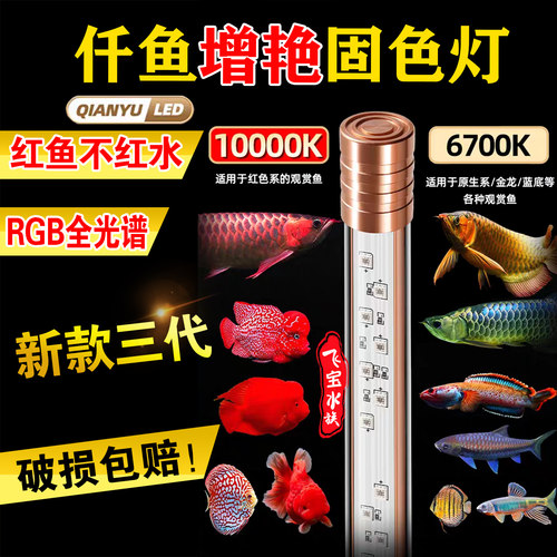 仟鱼增艳灯龙鱼发色灯三代新款