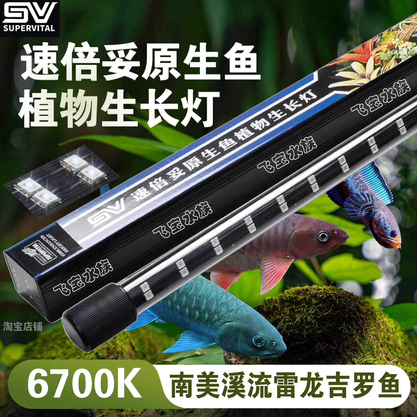 速倍妥雷龙灯吉罗鱼灯原生鱼灯图片