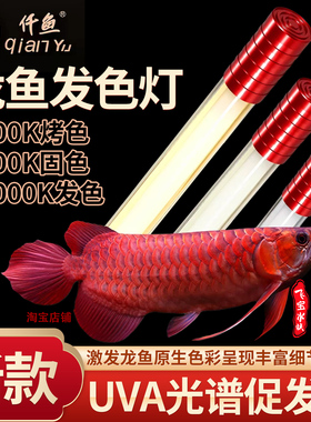 仟鱼龙鱼发色灯新款T5二代6700K固色灯13000K烤色灯2700K红龙鱼灯