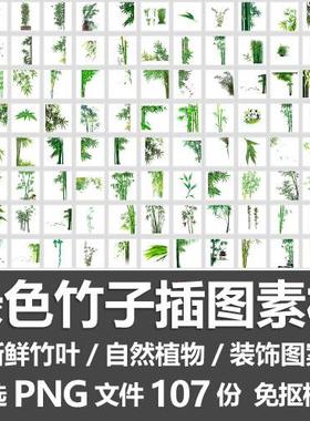绿色竹子插图素材/新鲜竹叶茂盛青竹自然植物装饰图案PNG免抠素材