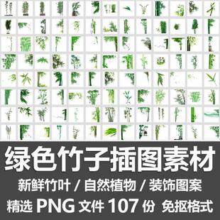 绿色竹子插图素材/新鲜竹叶茂盛青竹自然植物装饰图案PNG免抠素材