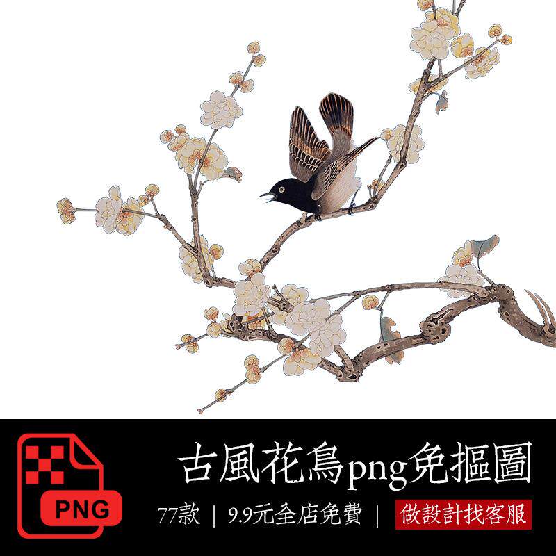 传统中式古典手绘花鸟图png格式免抠荷花梅花喜鹊国画工笔画素材