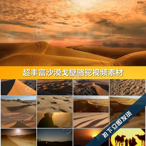 荒沙漠戈壁日落夜晚骆驼沙风化地貌凉大漠孤烟直丝绸之路视频素材