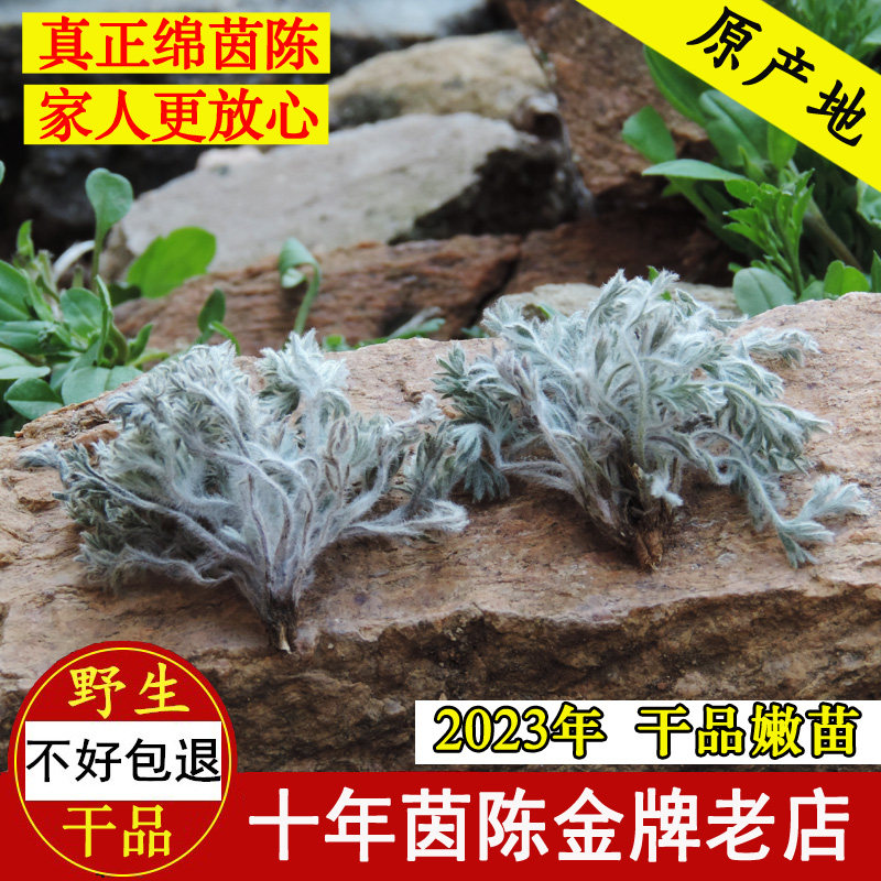 茵陈中药材2024年新货深山新鲜干货三月绵棉茵陈蒿草白蒿茵陈茶