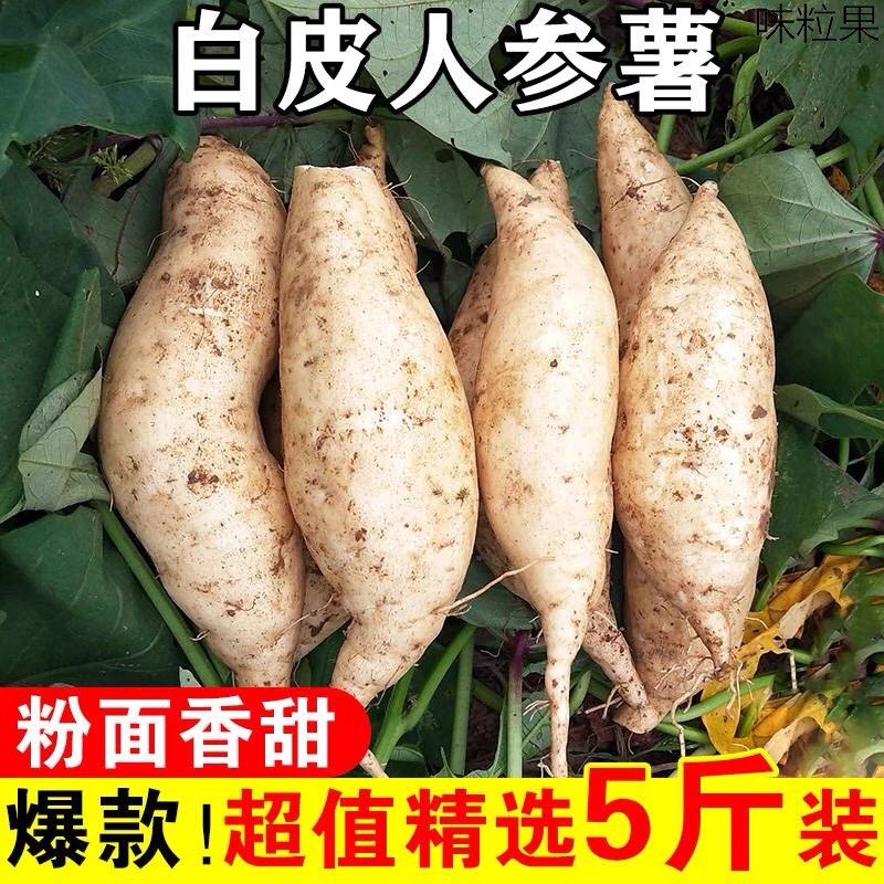 白皮白心人参薯山东新鲜超甜粉干面奶油农家现挖白玉蜜薯