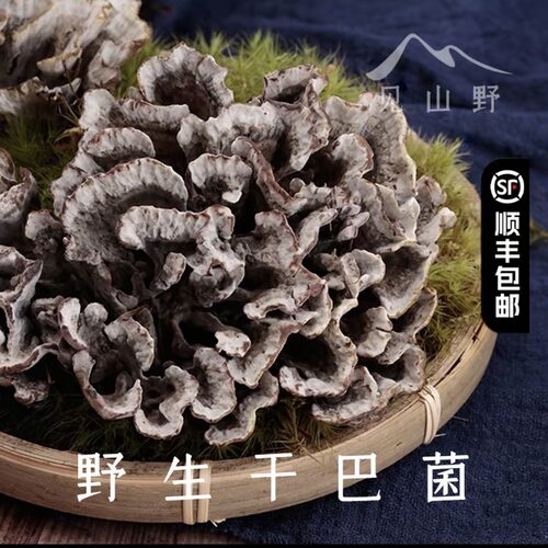 【云南新鲜野生干巴菌】新鲜当天下山现采干巴菌食用菌顺丰冷链