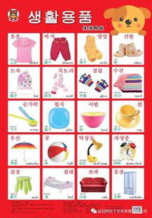 幼儿认知挂图.生活用品|中朝英儿童启蒙认知学前教育教学参考资料