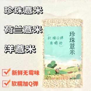 珍珠薏米洋薏米荷兰薏米小薏米小薏苡仁五谷杂粮软糯Q弹新鲜薏米