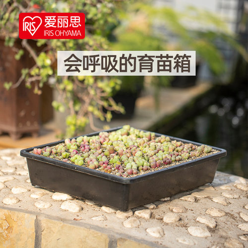 爱丽思育苗盘多肉种植长方形