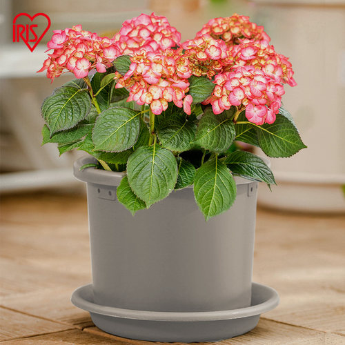 树脂简约家用花盆透气不闷根