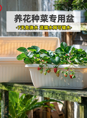 爱丽思长条花盆塑料大号长方形阳台种菜专用盆草莓种植盆栽爱丽丝