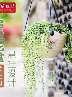 爱丽思垂吊吊兰花盆悬挂式塑料吊篮懒人绿萝常春藤吊球加厚爱丽丝