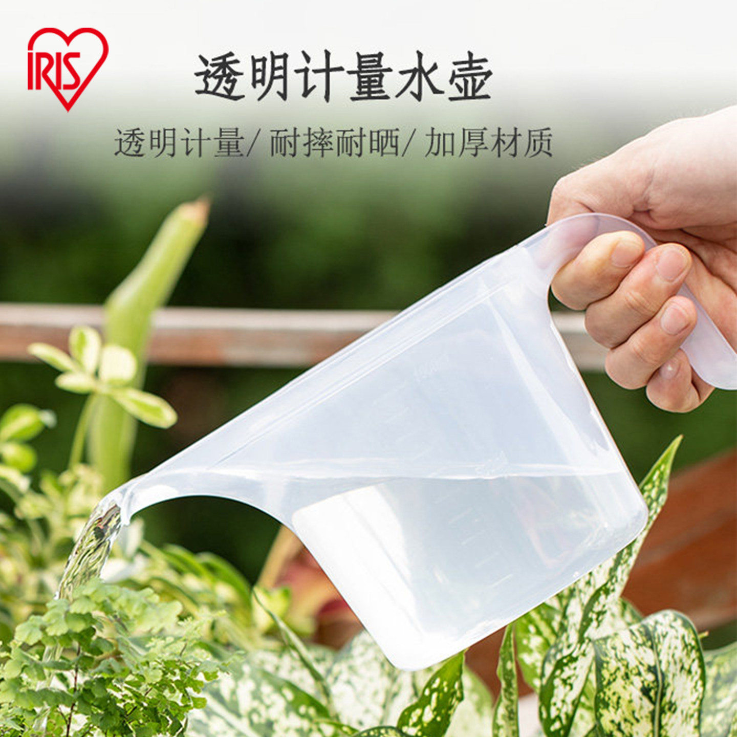 爱丽思多肉植物园艺浇花洒水壶塑料刻度浇花壶小型爱丽丝浇水壶