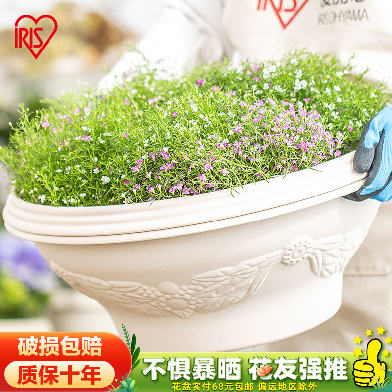 爱丽思浮雕半球花盆 树脂仿陶式绣球兰花花盆爱丽丝阳台种菜盆