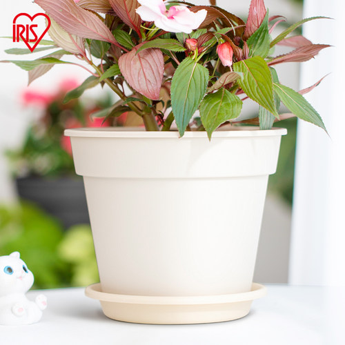 爱丽思环保简约塑料花盆