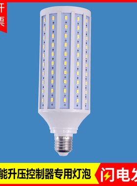 LED太阳能升压控制器专用玉米灯泡40W10串15并螺口庭院低压照明灯