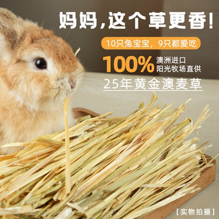 燕麦草澳麦草兔子草澳洲黄金燕麦草荷兰猪兔子食用晒干草饲料