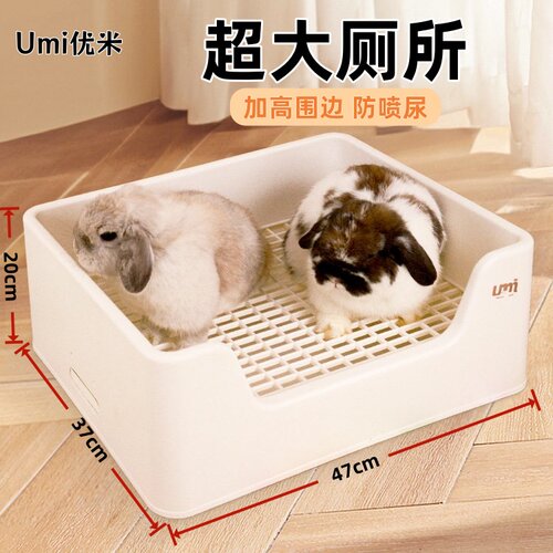 umi兔子厕所金豆满特大号