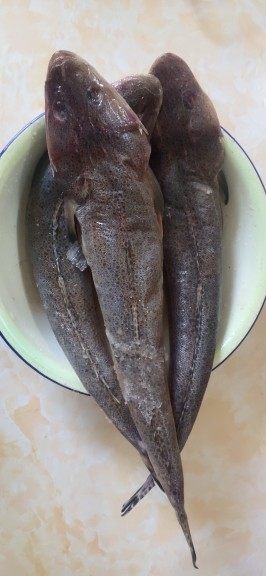 狗光胱鱼霸子狗腿杠鱼痴狗无刺摆甲笋壳沙光辫子鲬鱼油光咸鱼淡干