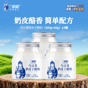 3桶 低温酸奶草原酸奶620g 兰格格酸奶乌日莫奶皮子560g 60g桶装