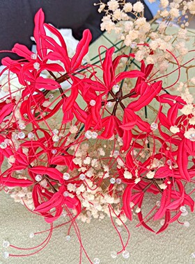 成品 分手也快乐 缠丝花 彼岸花