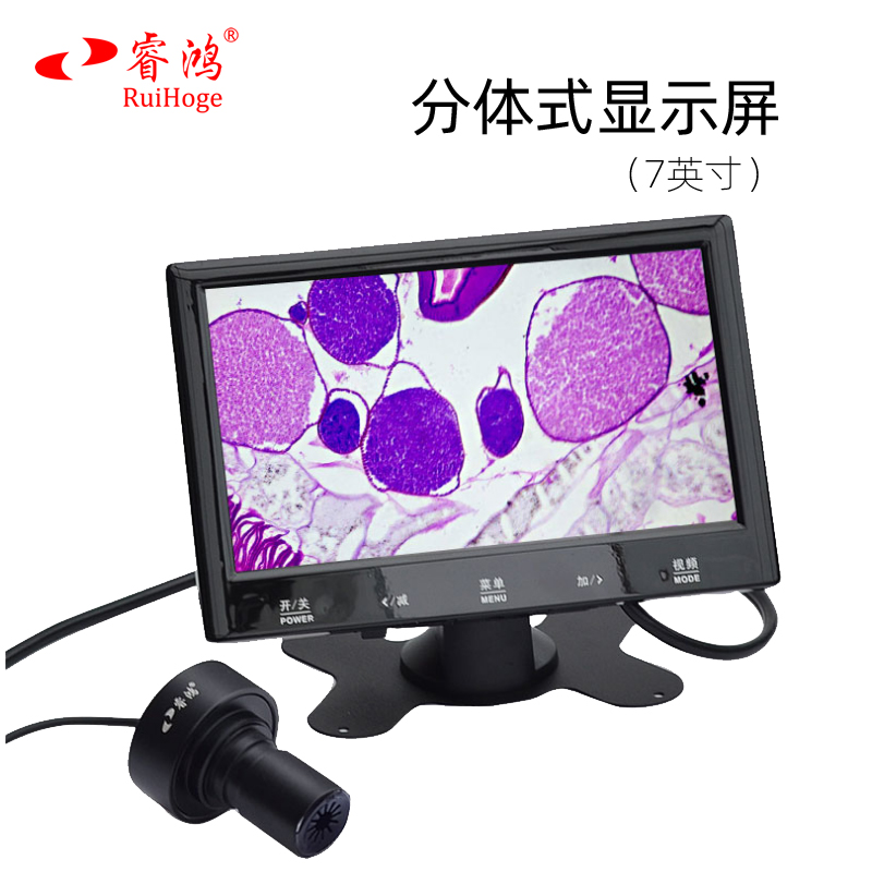 显微镜显示屏显示器带