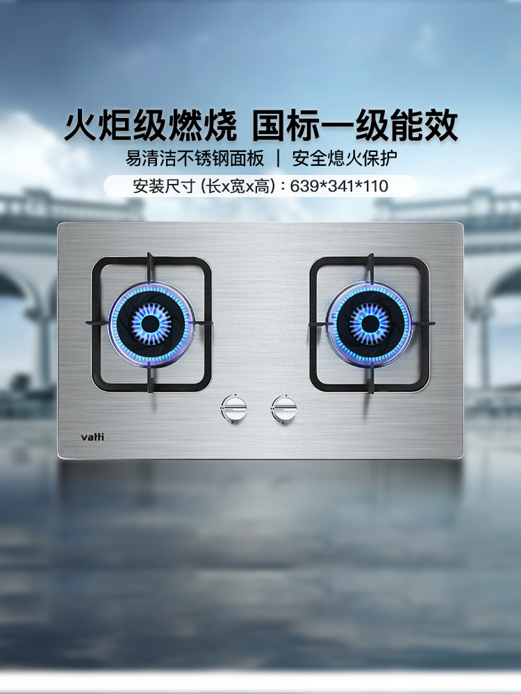Vatti Gas Stove i10039A Stainless Steel Gas Stove Double Stove Household Natural Gas Stove Liquefied Gas Stove