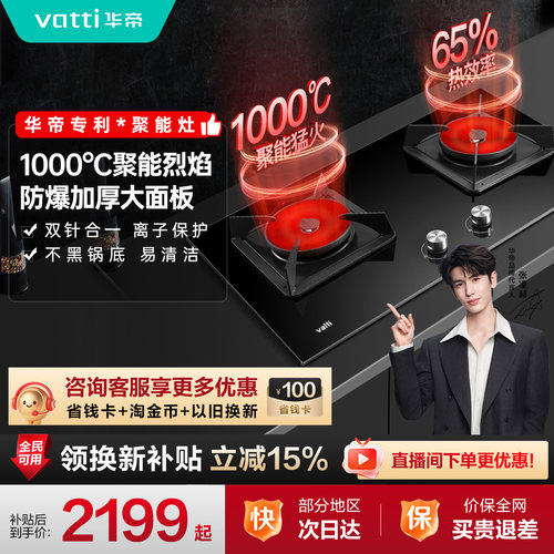 1000℃高端聚能灶 咨询客服享补贴
