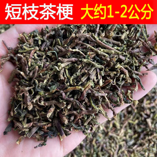 5斤短枝铁观音新茶梗大排档饭店洗碗茶茶梗做茶枕头特价吸味