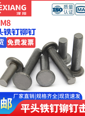 铁平头实心铆钉GB109本色铁钉铁击打平敲打铆钉M2M2.5M3M4M5M6M8