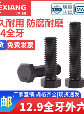12.9级全牙外六角螺丝螺栓 M24*150x160x180x200x220x240x250x300