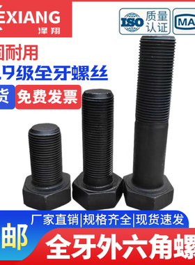 12.9级全牙外六角螺丝 全螺纹螺栓M24*60x80x100x120x150x200x300