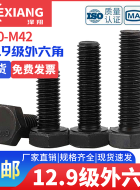M30M33M36M39M42 12.9级高强度外六角螺丝加长全牙螺栓合金钢螺杆