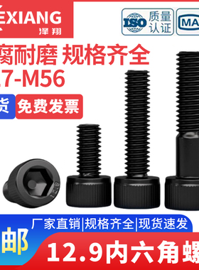 12.9级M24M27---M56国标内六角螺栓高强度碳钢杯型头加长全牙螺丝