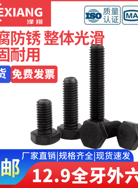 12.9级加长全牙外六角螺丝全螺纹螺栓螺杆 M16*150x180x200x250