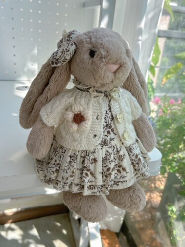 彩菲手作娃衣邦尼兔毛衣裙子秋冬套装兔子着替31cm36cm玩偶衣服