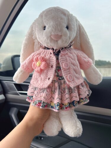 彩菲手作邦尼兔裙子春季毛衣套装花朵衣服玩偶着替兔子娃衣礼物