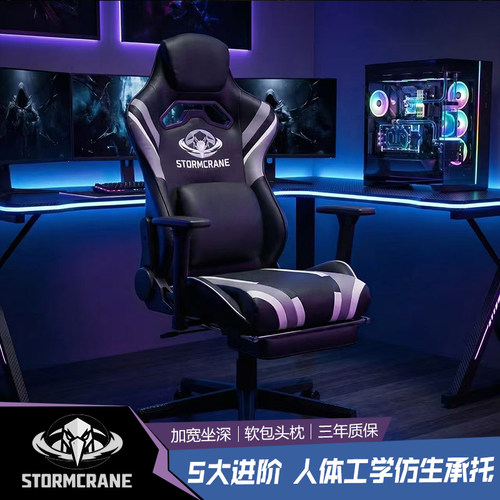 人体工学椅电脑椅电竞椅护腰家用靠背椅子久坐不累舒适座椅办公椅