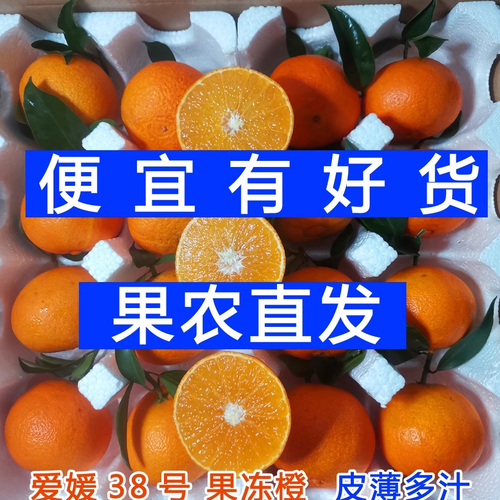 精品爱媛38果冻橙果农直发