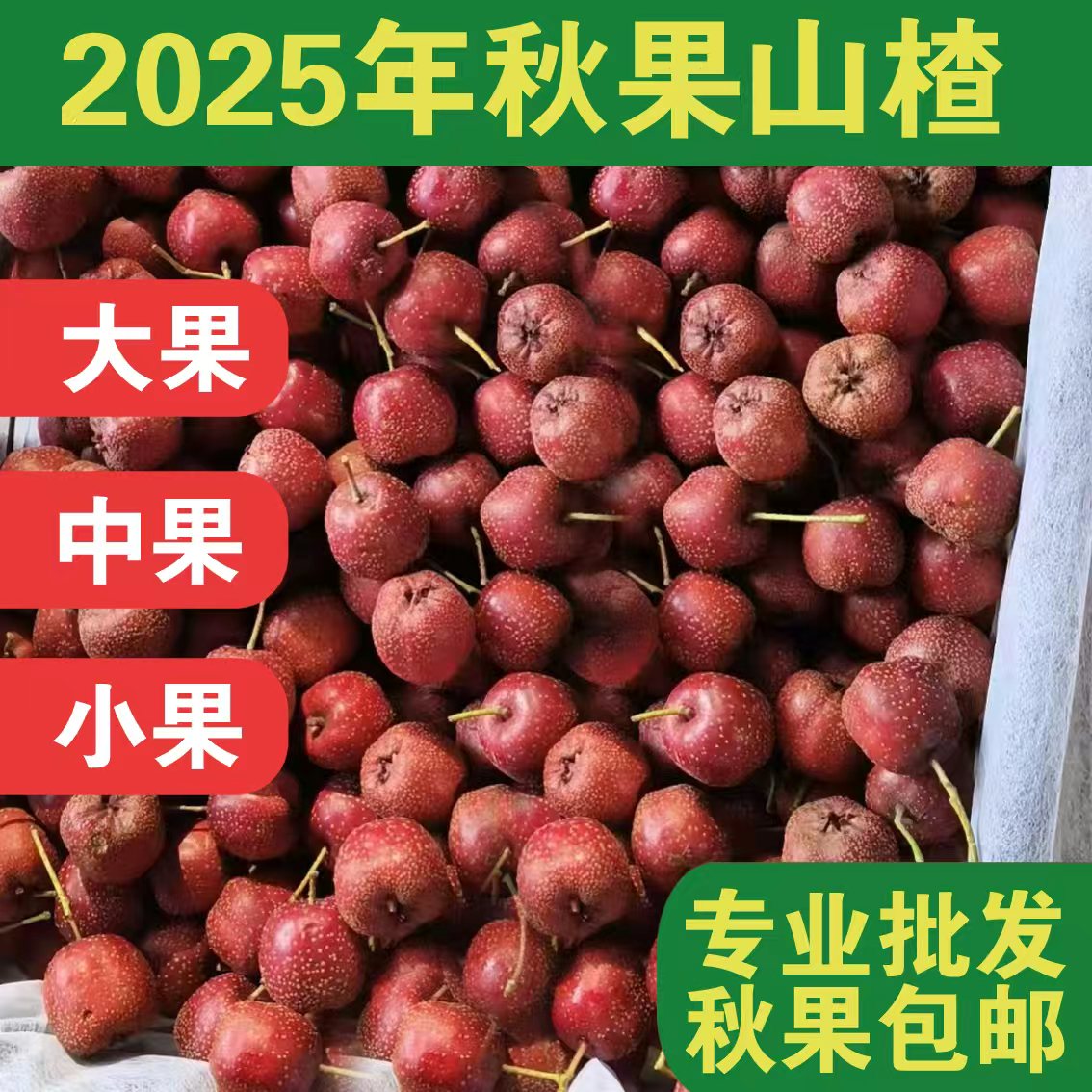 2025年现货秋果山楂大果糖葫芦秋果山楂批发秋果新鲜秋果包邮