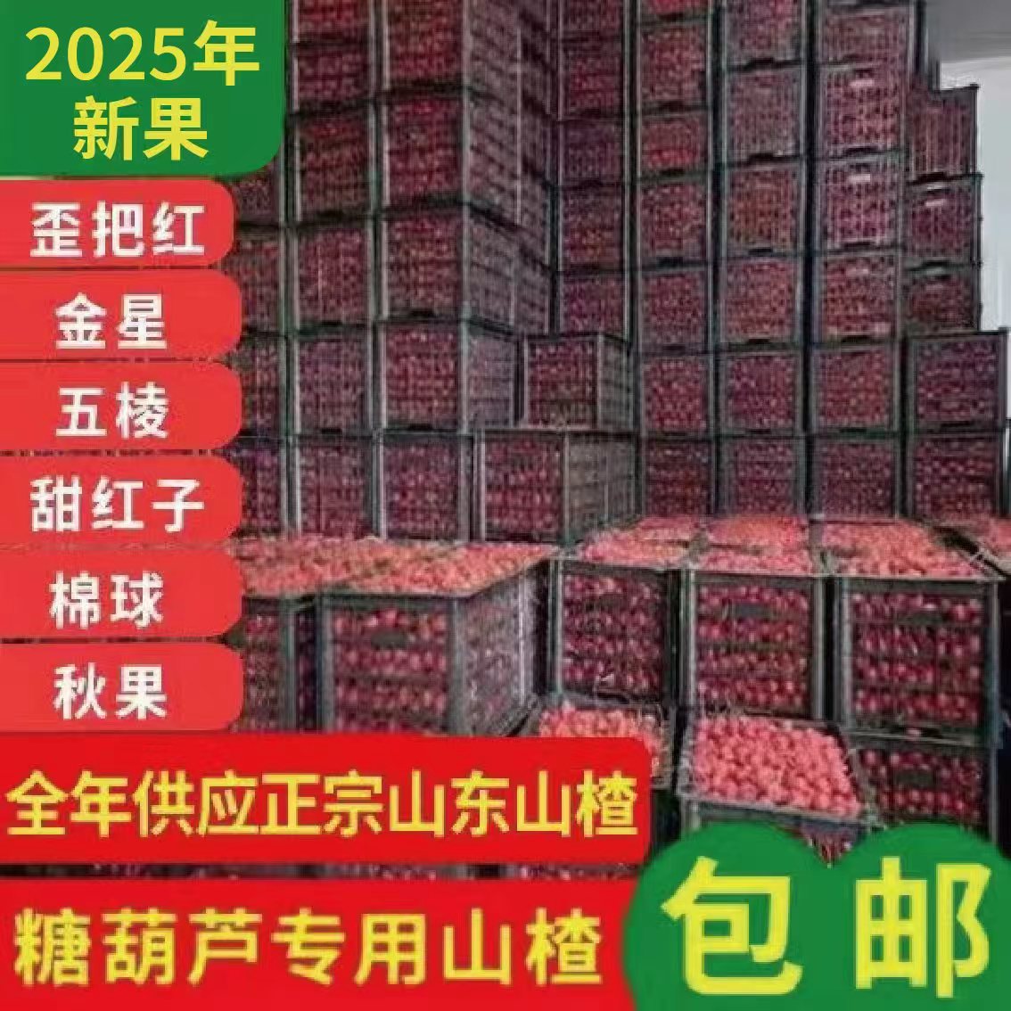 2025年鲜山楂新鲜大五棱山里红冰糖葫芦秋果甜红子歪把红山楂批发