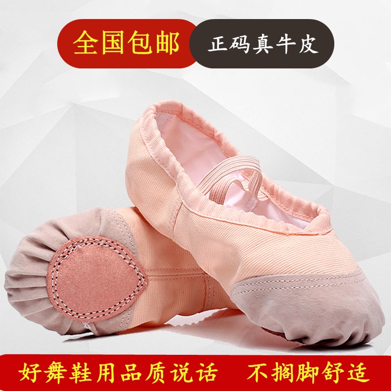 成人猫爪鞋舞鞋儿童舞蹈鞋 软底练功鞋 女童 幼儿 女士芭蕾练习鞋