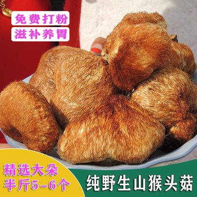 野生天然猴头菇大兴安岭精品