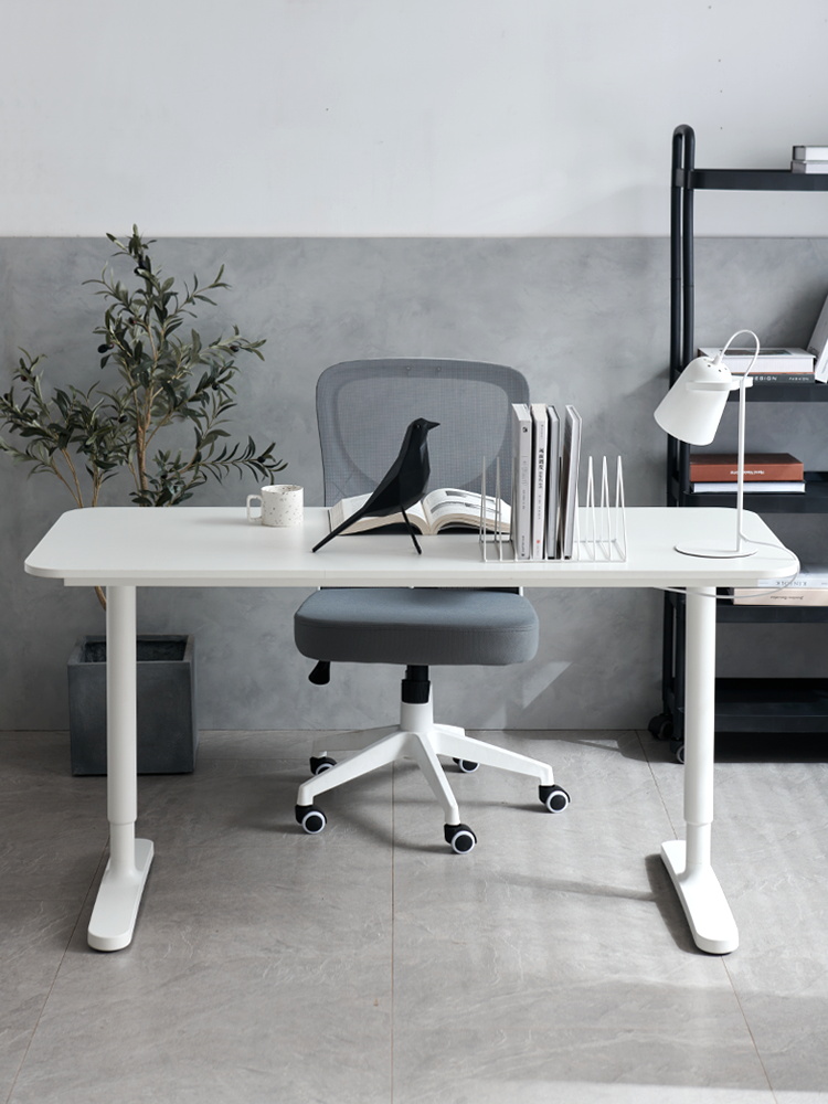 北欧极简升降书桌电脑桌大工作台