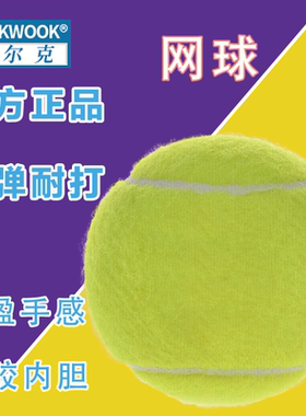 WOLK WOOK 网球训练用球弹力球健身锻炼网球球