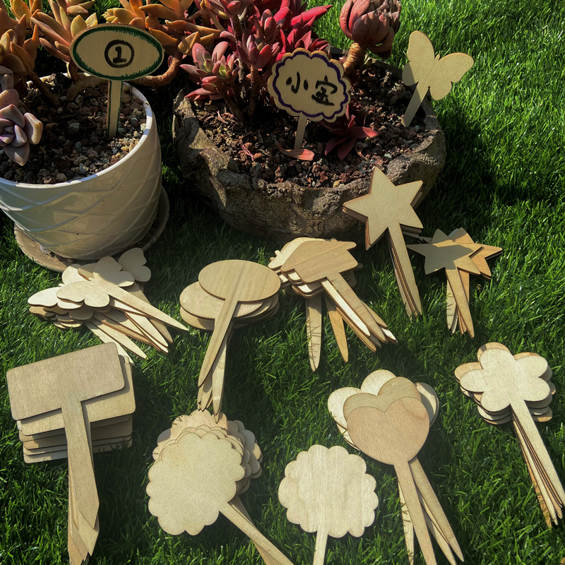 幼儿园环创植物角园艺标识指示牌区域区角插卡牌diy木质插件标签