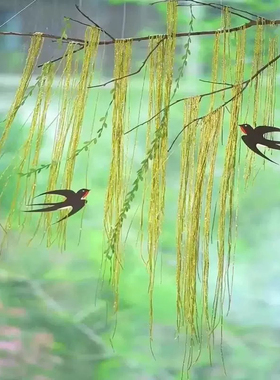 幼儿园天花板国风教室春天装饰中式绿色春天环创手工diy空中吊饰