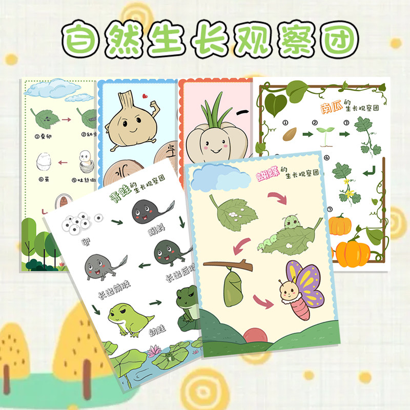 幼儿园植物角自然角环创墙面装饰自制植物动物生长演示图谱布置